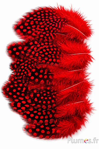 Parelhoen - 3-6 cm - rood